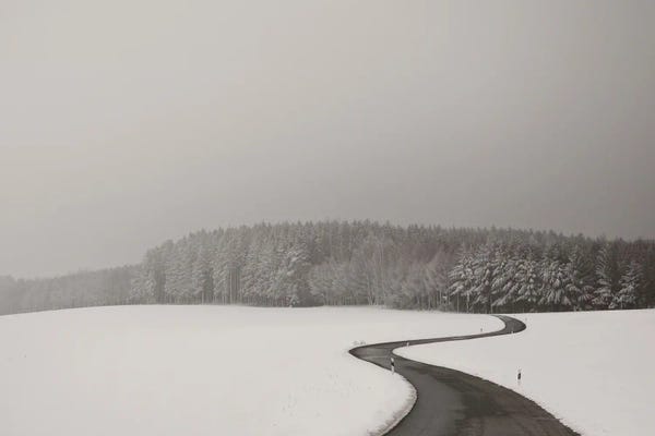 Lena Weisbek: Curvy Road by Lena Weisbek