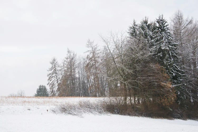 Woodland