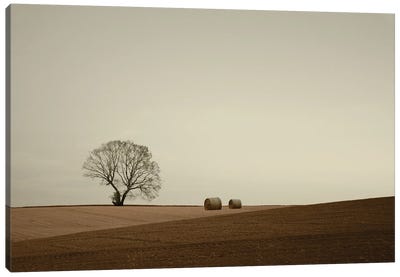 Ode To The Land Canvas Art Print - Lena Weisbek
