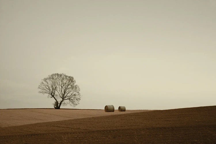 Ode To The Land by Lena Weisbek wall art