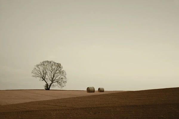 Less Is More: Ode To The Land by Lena Weisbek