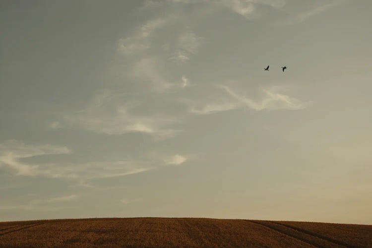 Signs In The Sky