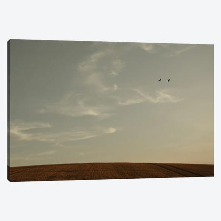 Signs In The Sky Canvas Print #LEW144} by Lena Weisbek Canvas Artwork