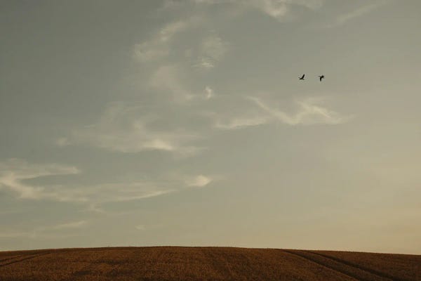 Lena Weisbek: Signs In The Sky by Lena Weisbek