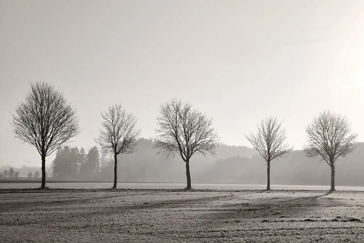 Tree Parade