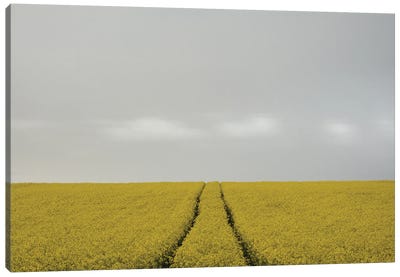 Rape Field with Clouds Canvas Art Print - Less is More