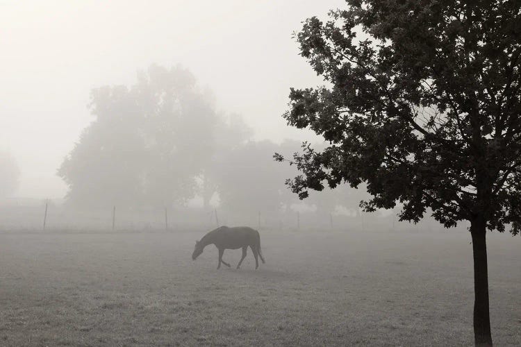 Country Life