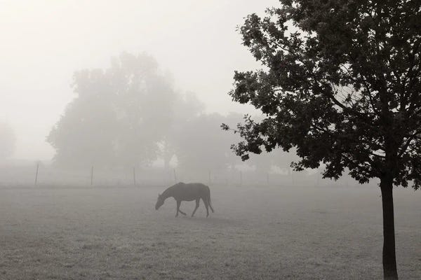 Lena Weisbek: Country Life by Lena Weisbek