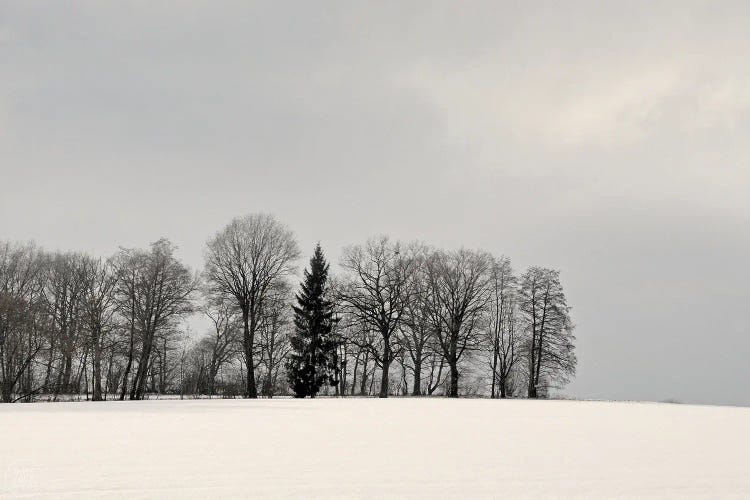 Winterly Country