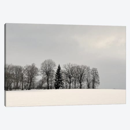 Winterly Country Canvas Print #LEW150} by Lena Weisbek Canvas Art