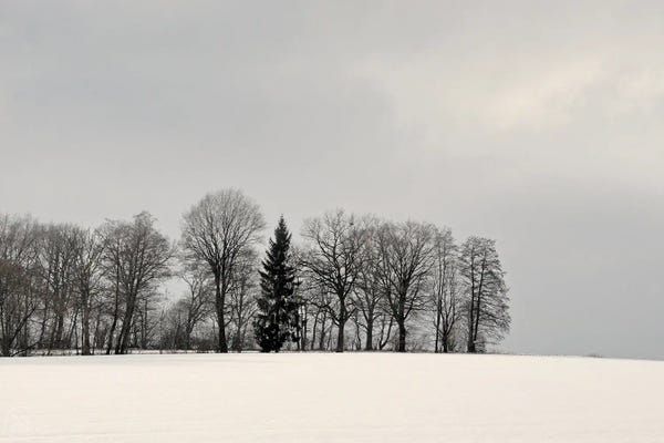 Lena Weisbek: Winterly Country by Lena Weisbek