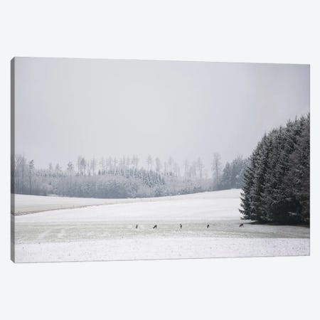 Deer On The Woods Canvas Print #LEW151} by Lena Weisbek Canvas Wall Art