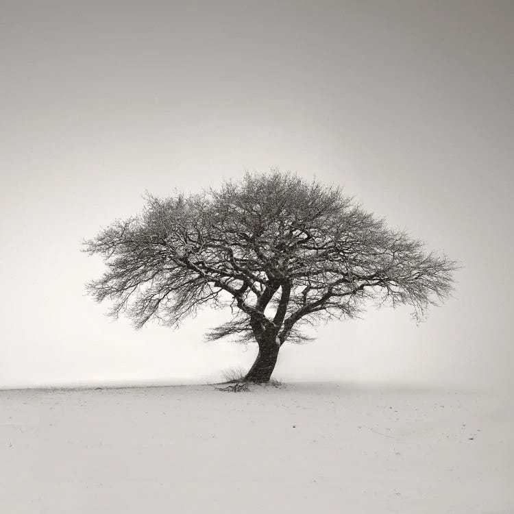 Lonely