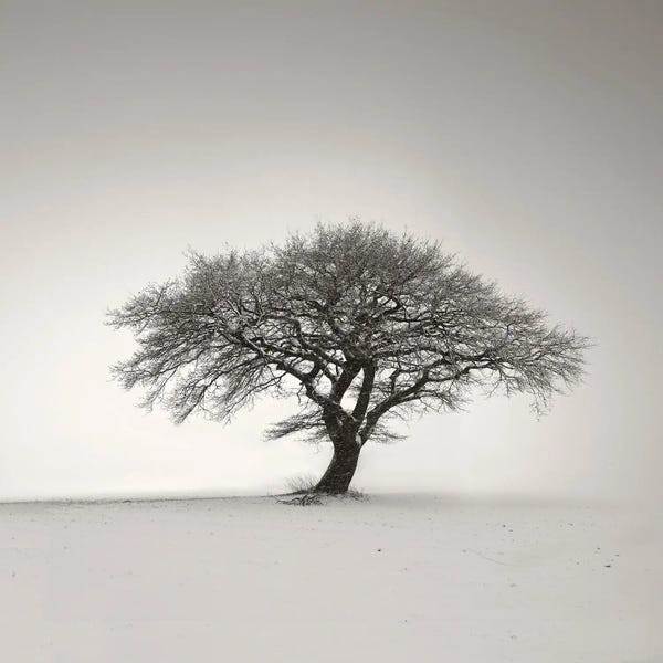 Lena Weisbek: Lonely by Lena Weisbek