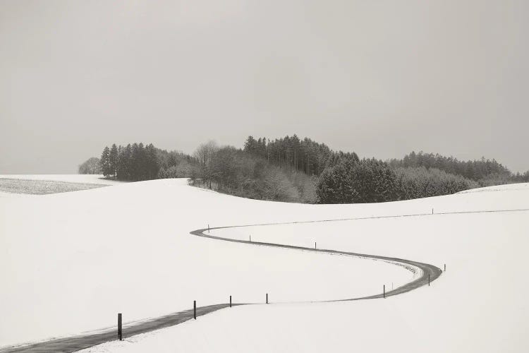 Curvy Road Ride