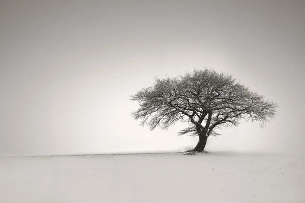 Lena Weisbek: Lonely II by Lena Weisbek