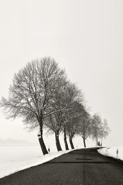 Winter Road by Lena Weisbek framed canvas print