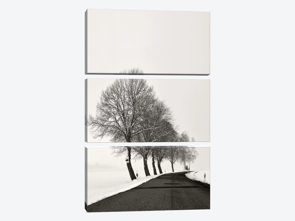 Winter Road by Lena Weisbek 3-piece Canvas Art Print