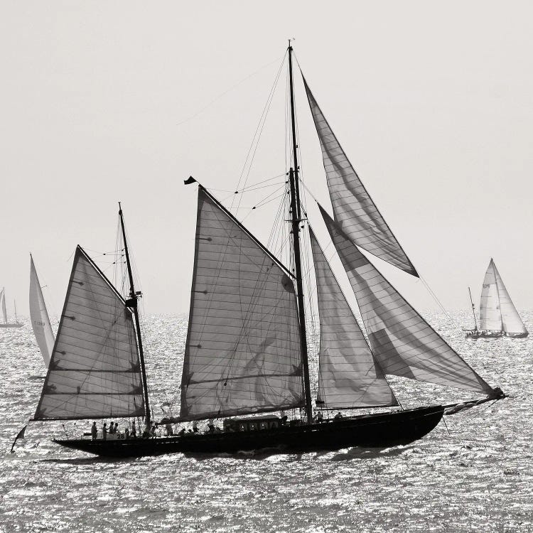 Sailboat III