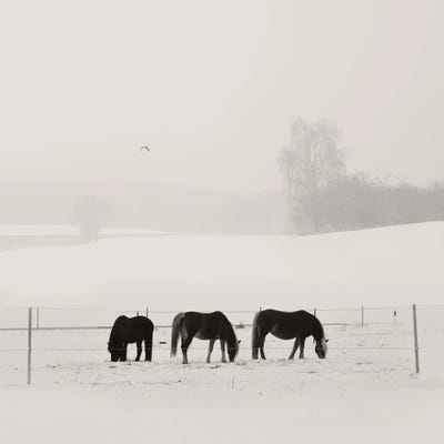 Bavarian Winter Idyll by Lena Weisbek framed canvas print