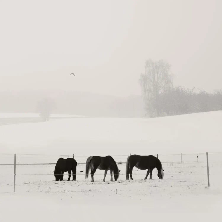 Bavarian Winter Idyll