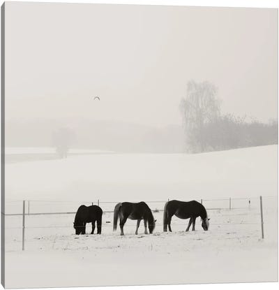 Bavarian Winter Idyll Canvas Art Print - Lena Weisbek