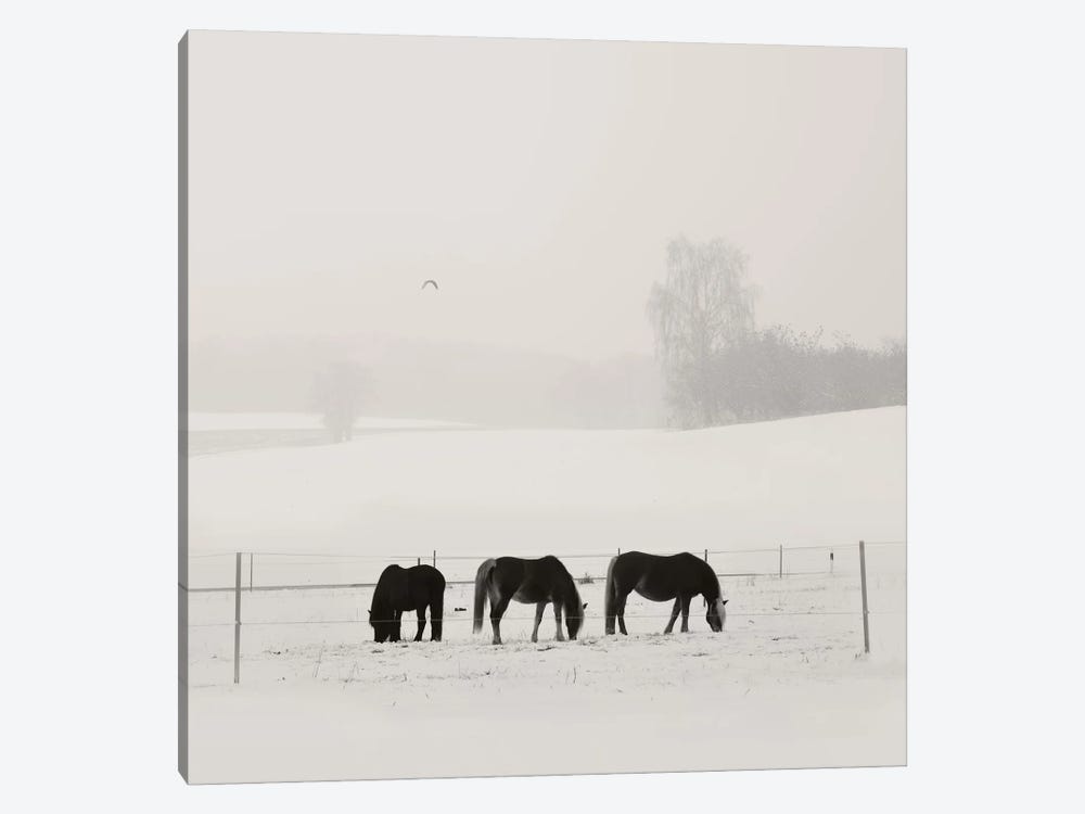 Bavarian Winter Idyll by Lena Weisbek 1-piece Canvas Print