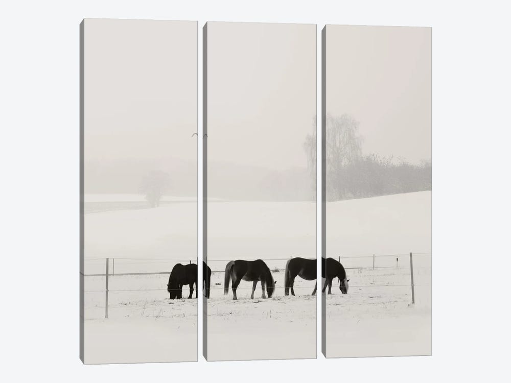 Bavarian Winter Idyll by Lena Weisbek 3-piece Canvas Art Print
