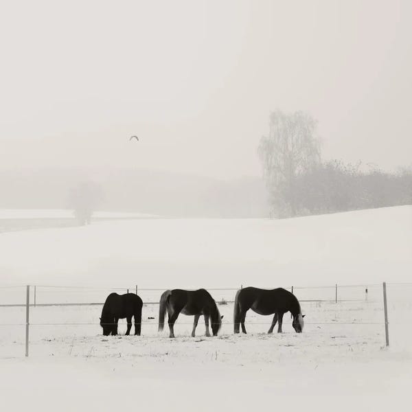 Bavarian Winter Idyll