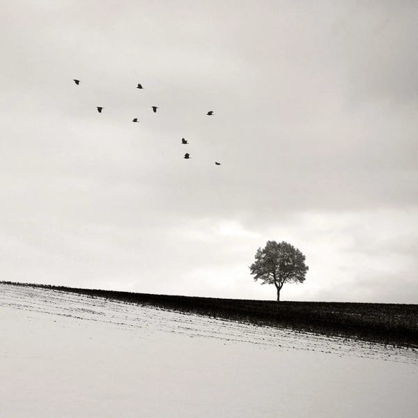 Lonesome