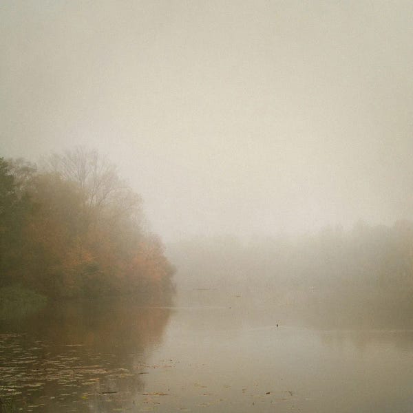 Lena Weisbek: Foggy River by Lena Weisbek