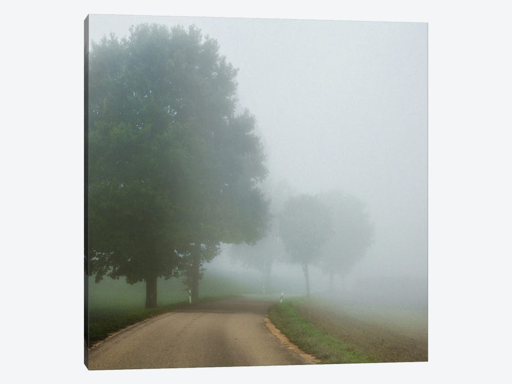 Early Fog On My Way by Lena Weisbek 1-piece Canvas Wall Art