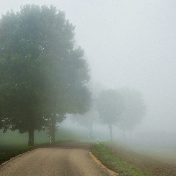 Lena Weisbek: Early Fog On My Way by Lena Weisbek