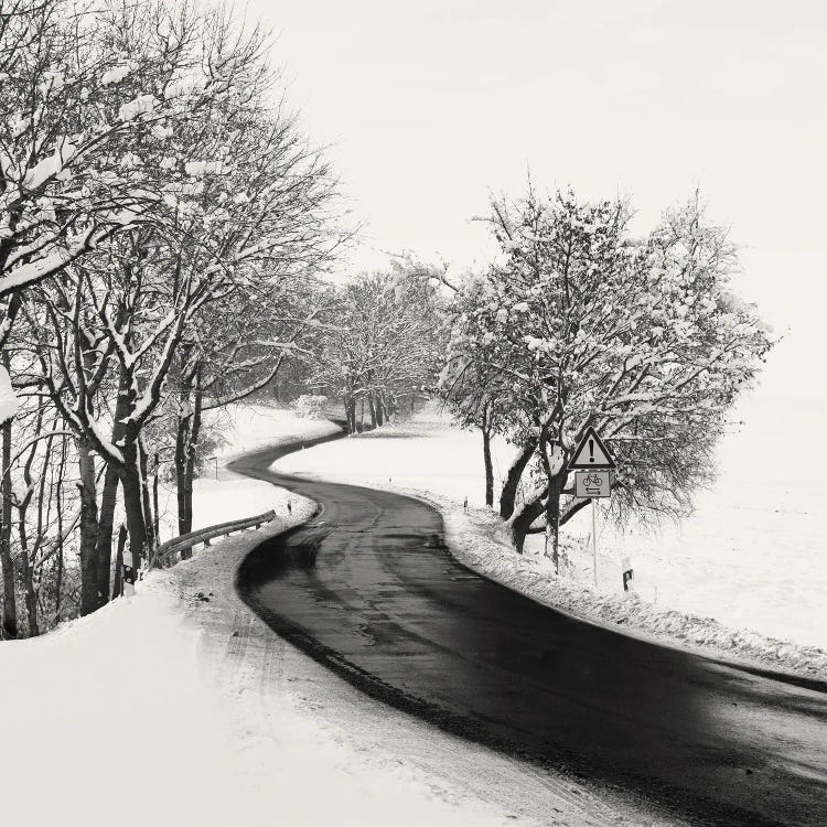 Winding Road by Lena Weisbek wall art