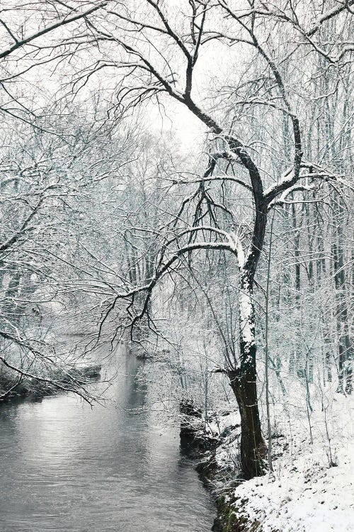 Quietness by Lena Weisbek wall art