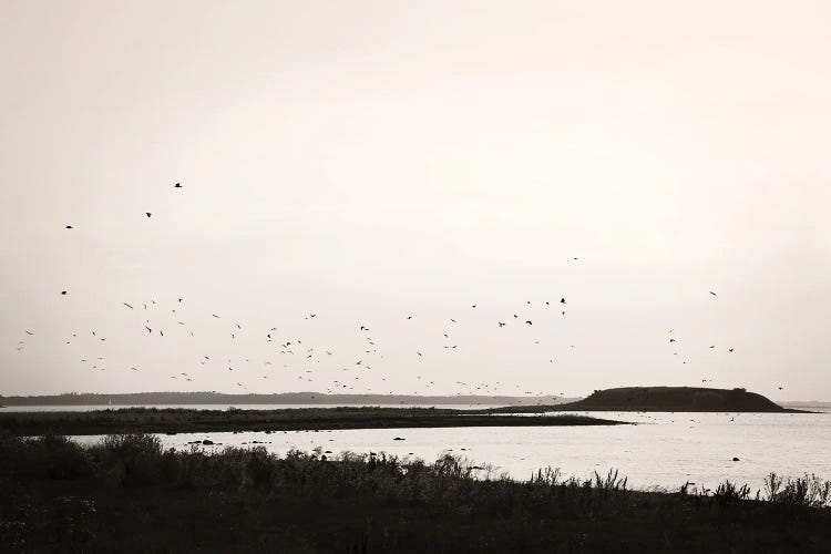 Life On The Fjörd