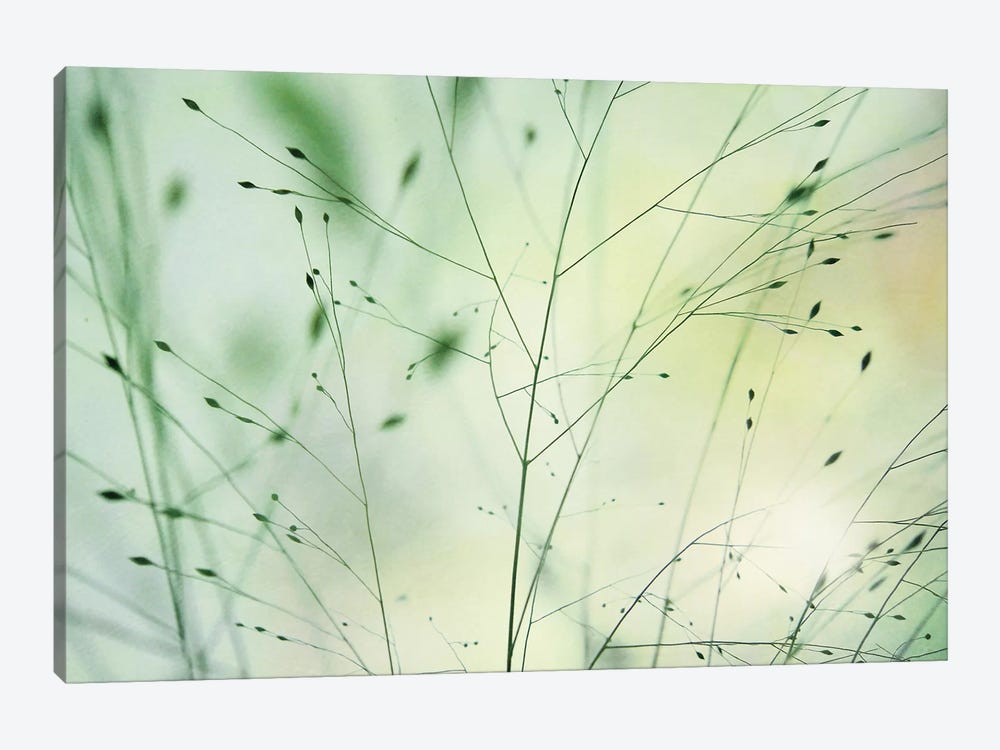 Meadow by Lena Weisbek 1-piece Art Print