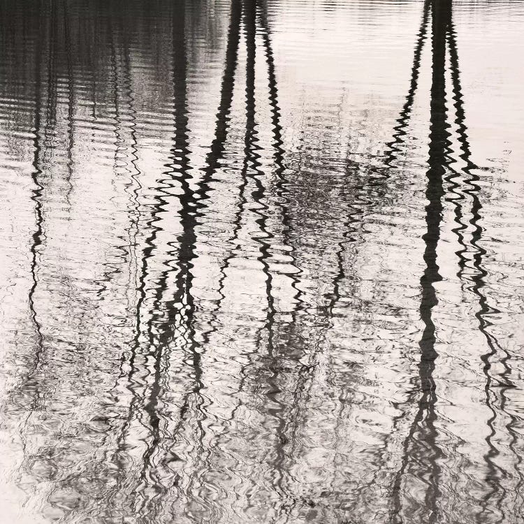 Mirroring by Lena Weisbek wall art