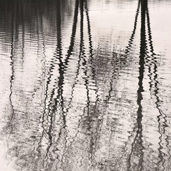Lena Weisbek: Mirroring by Lena Weisbek
