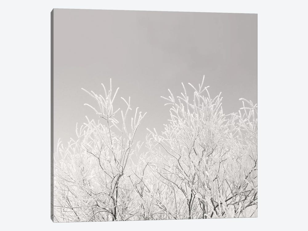 Painted Winter by Lena Weisbek 1-piece Canvas Print