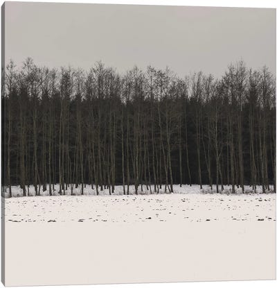 Winter Woods Canvas Art Print - Color Palettes