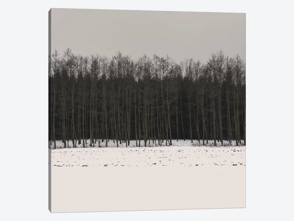 Winter Woods by Lena Weisbek 1-piece Canvas Art Print