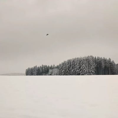 Winterscape by Lena Weisbek framed canvas print