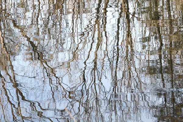 Flowing Lines