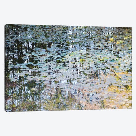 Picturesque Pond Canvas Print #LEW67} by Lena Weisbek Canvas Art