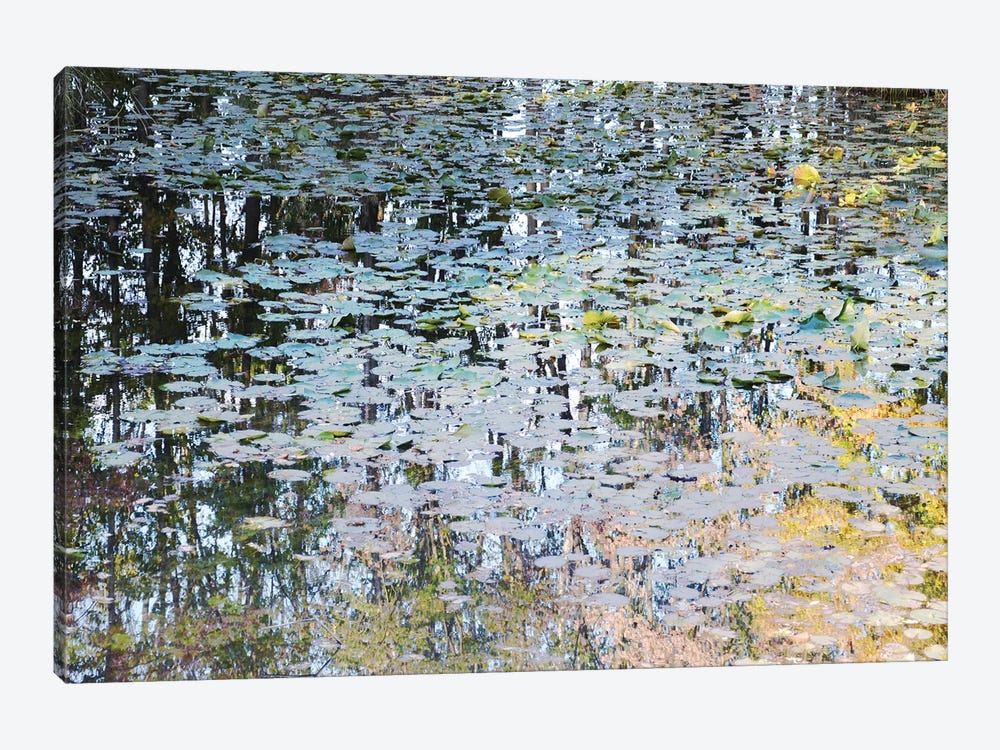 Picturesque Pond by Lena Weisbek 1-piece Canvas Art Print