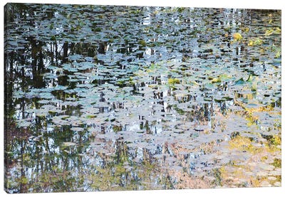 Picturesque Pond Canvas Art Print - Pond Art