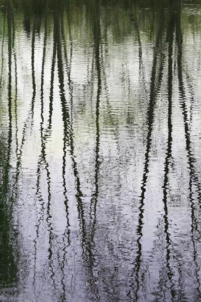 Ponds: In The Mood by Lena Weisbek