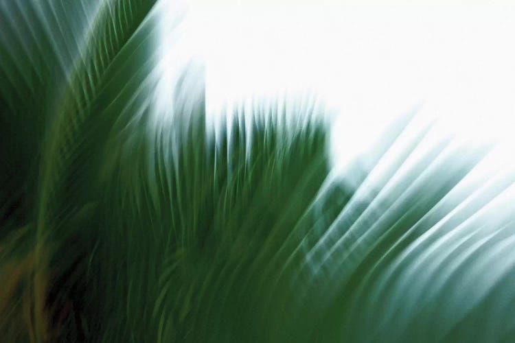 In The Green IV by Lena Weisbek wall art