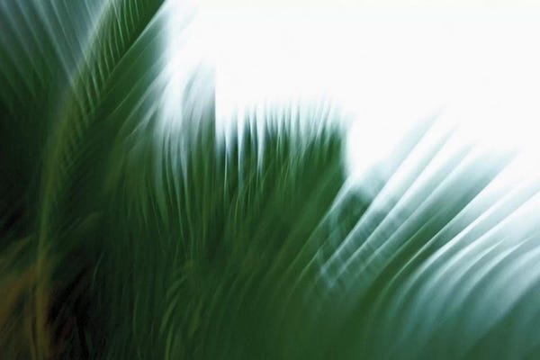 Lena Weisbek: In The Green IV by Lena Weisbek